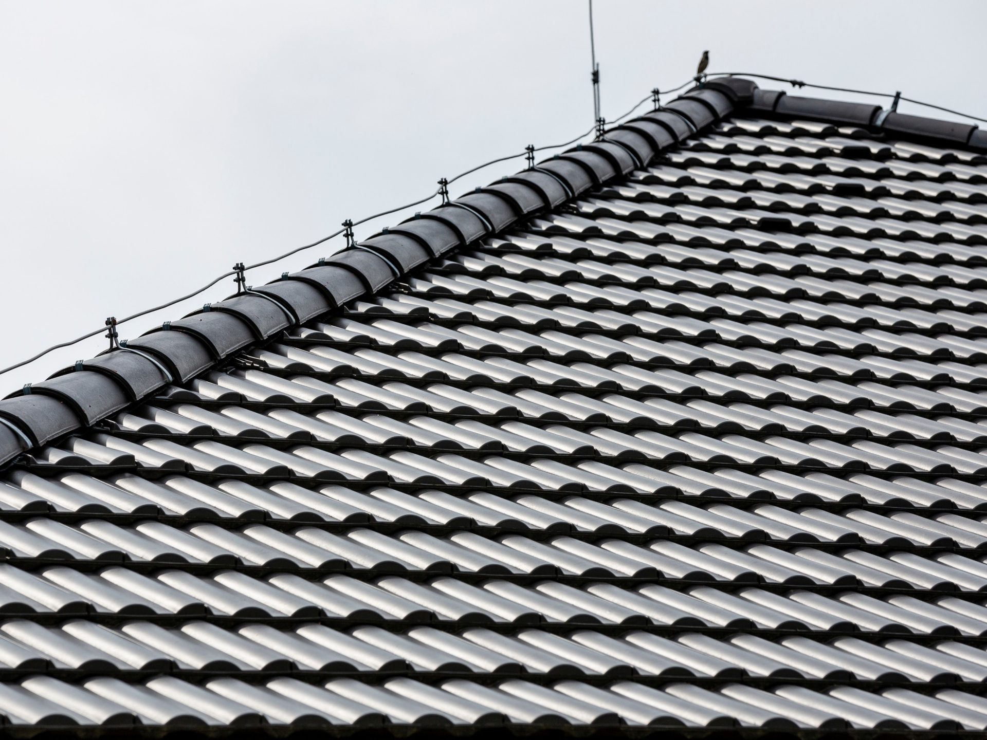 Reference photo of single house in Trencianske Mitice 08