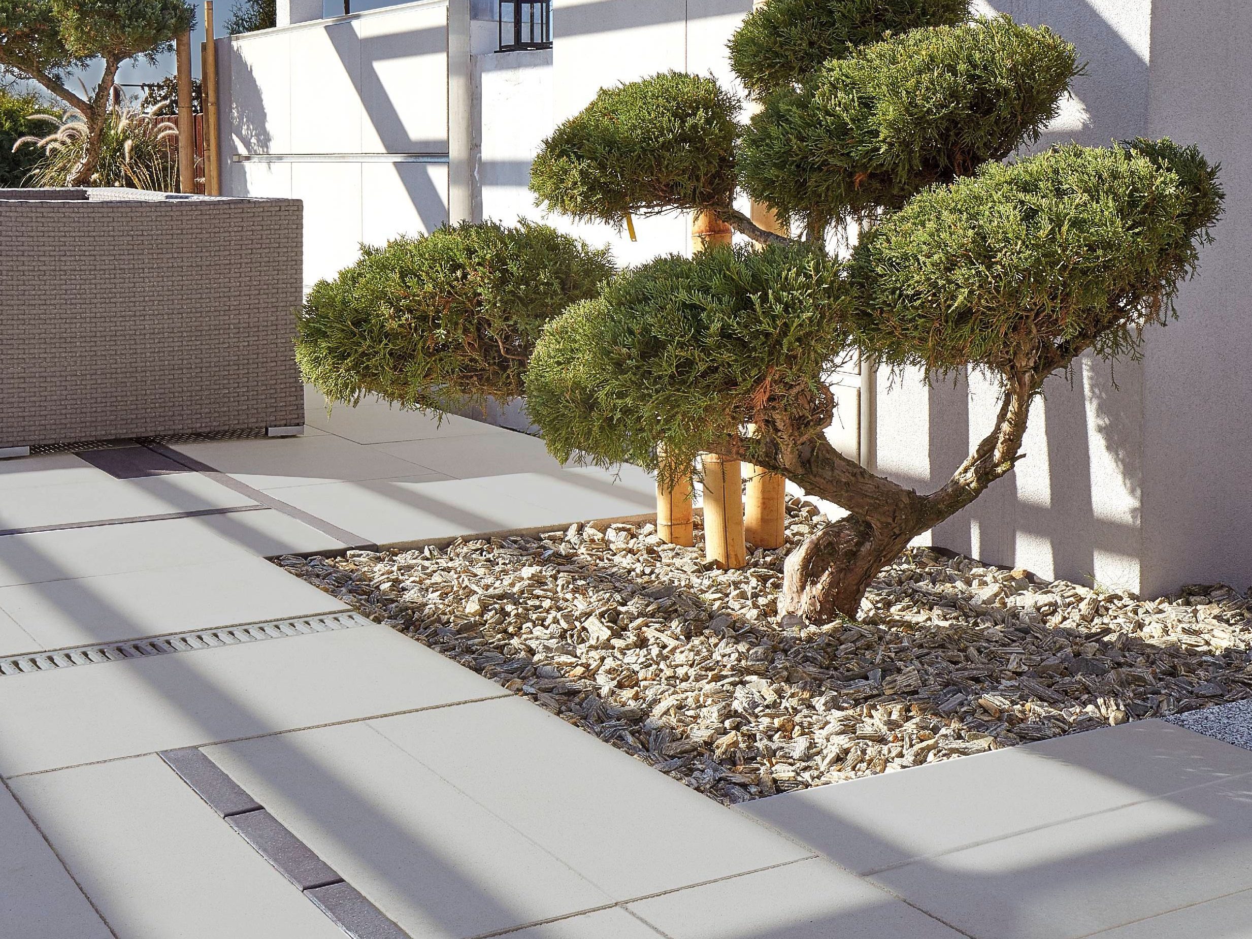 CAD izris ureditve okolice