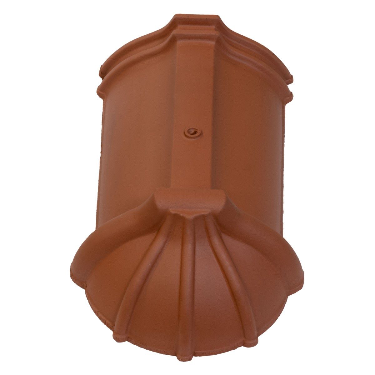 Začetni slemenjak zarezni