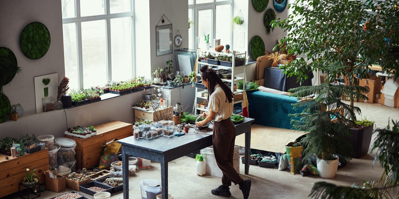 Hobby soba; ureditev rastlin