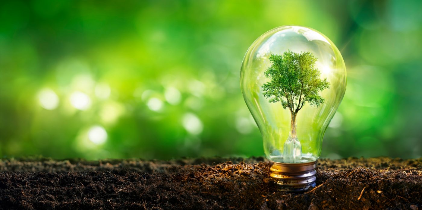 Lamp With Tree - Ecology Energy Development Concept