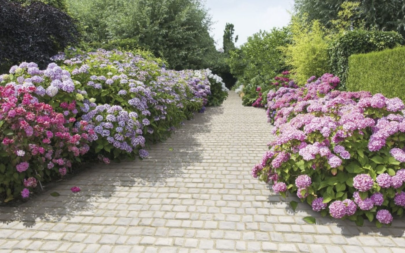 Semmelrock Bradstone Cobble opločnik boja slonovače