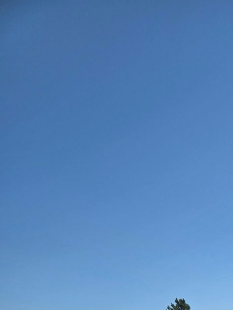 Izložbeni vrt Ogulin