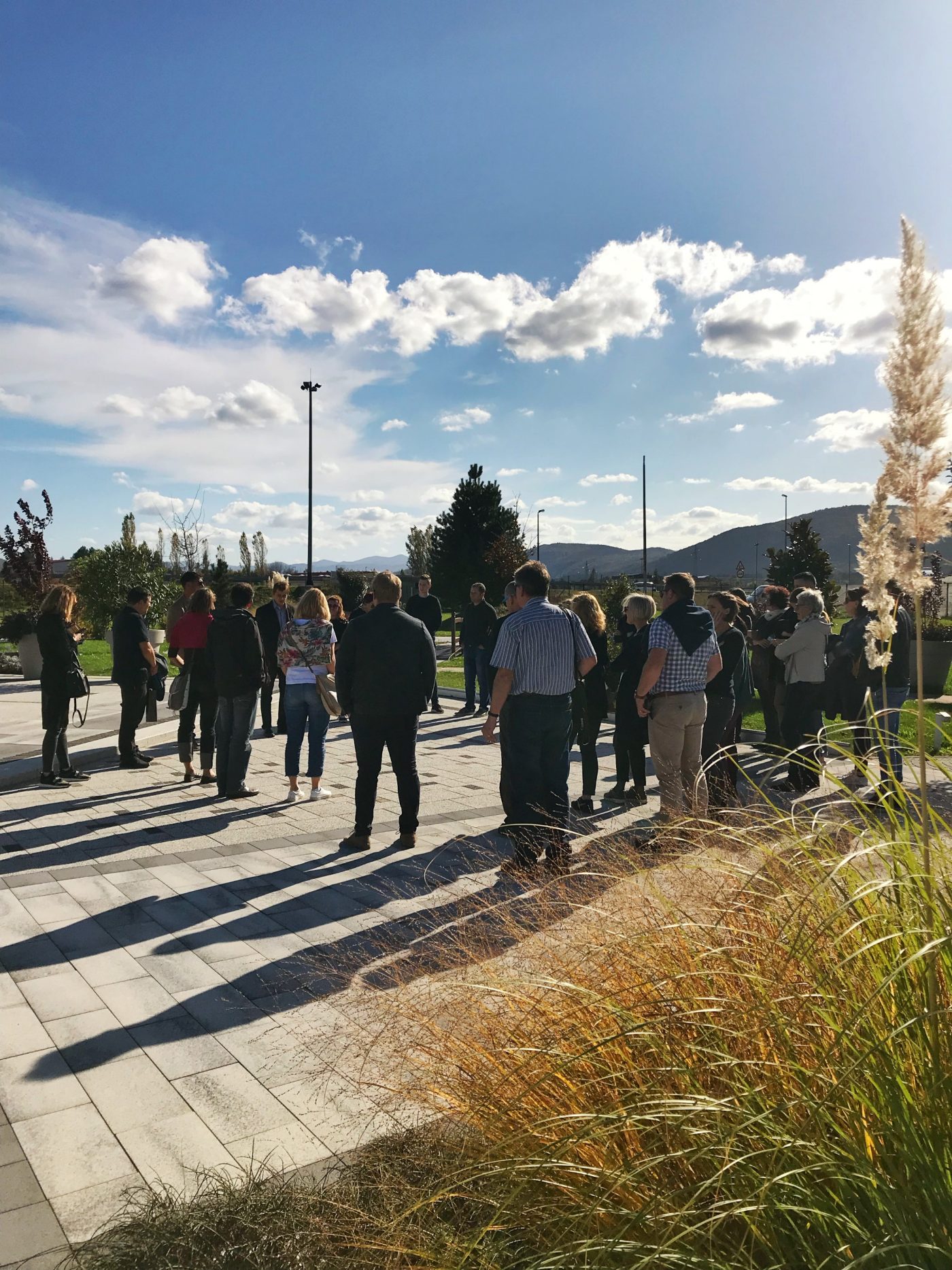 Prijava na newsletter