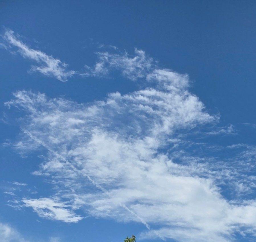 Izložbeni vrt Ogulin